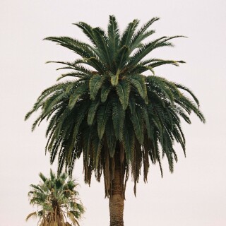 Summer-Lynn-Hart-Annual-Exclusive-1-01d44f41deaccecb21