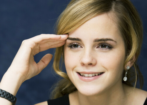 THE TALE OF DESPEREAUX PRESS CONFERENC 58 1252008