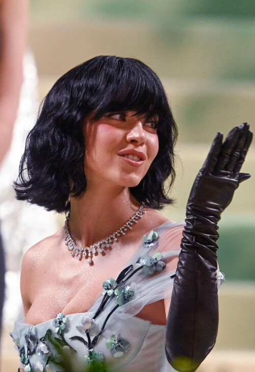 TIzB3Mljr257c5acc2de25f3c1