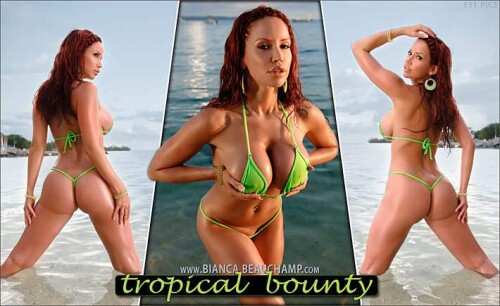 TRB014b6111944a292ba8