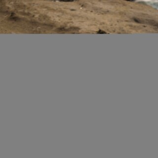 TRIN-X-MARINA-33ffed59764cb3e79f