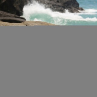 TRIN-X-MARINA-35126d022e226dd9cb