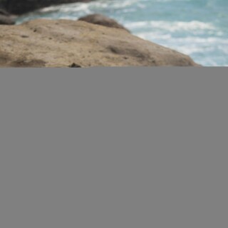 TRIN-X-MARINA-364ff6b069343fadbb