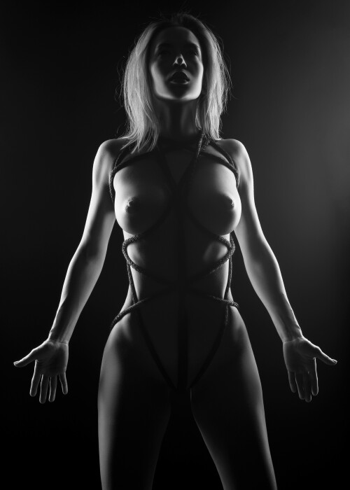 TR Feb25 2ad13bd31d011949f