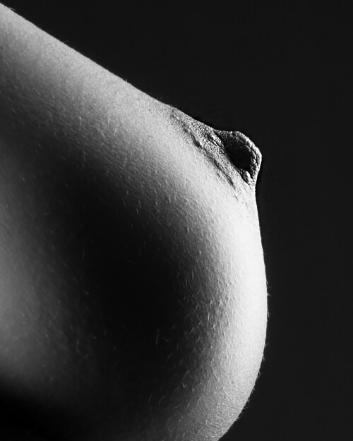 TR artsy282e017b4a7940f8f