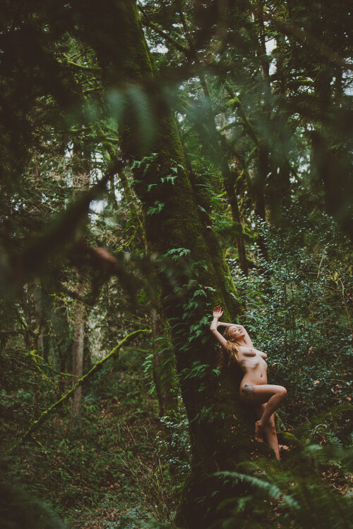 Tazia IMG 5434 154785f9c6a2fe7d8