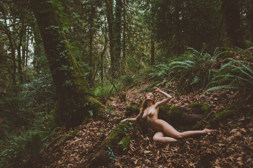 Tazia IMG 5530 1797637e5e26269d3