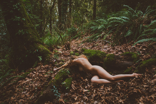 Tazia IMG 5533 1bd60a3aefeb7679d