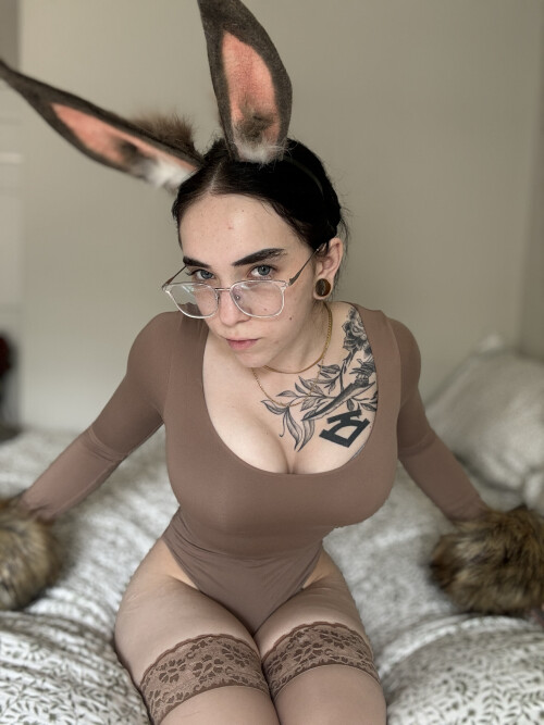 The stompers 548139f83017f7d22