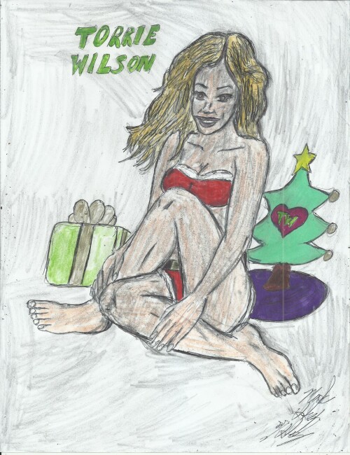 Torrie Wilson 102486715938cec2511
