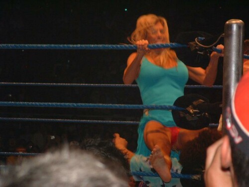 Torrie Wilson Feet 124213