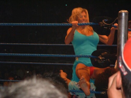 Torrie Wilson Feet 124213bd86985995985aec