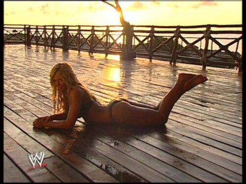 Torrie Wilson Feet 1912859ddbf4b748955eeba