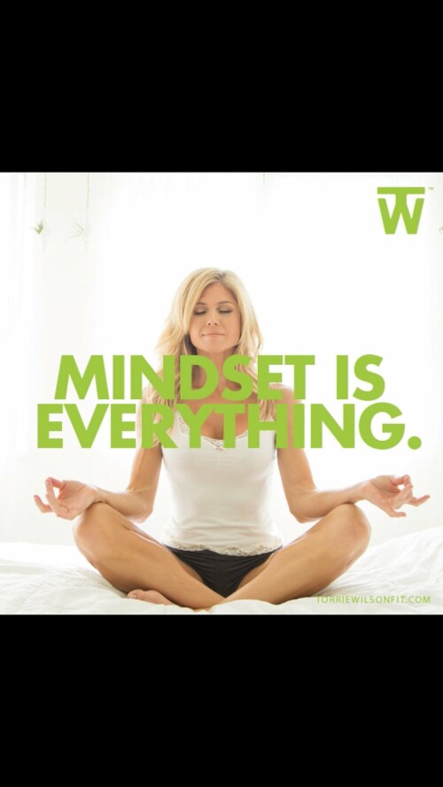 Torrie Wilson Feet 2344020