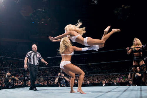 Torrie Wilson Feet 473047a8ad98df103b1b38