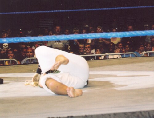 TorrieWilsonOriginal CrucifierHITW024e81a45249361d8a