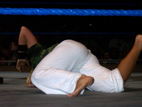 TorrieWilsonOriginal CrucifierHITW08