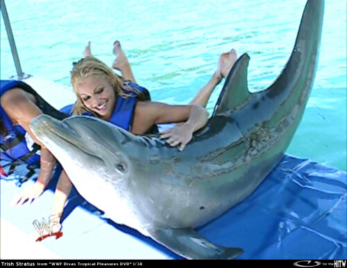TrishStratusWWF02 eromitlabHITW 11