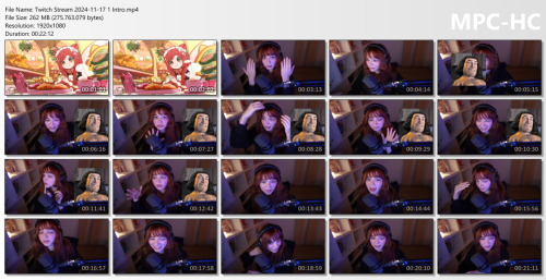 Twitch-Stream-2024-11-17-1-Intro.mp4_thumbsb096b13bc1d34610