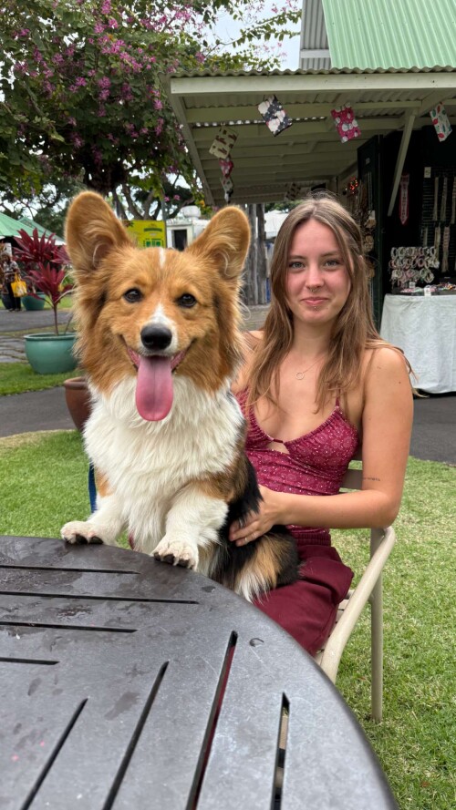 U8VeQ00Fx0iFTmIqiRk8Z.102385007fb582494aa2