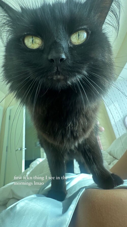 UD alythuh 3418855596752377247 7 24 20240dbe1ba23290102b