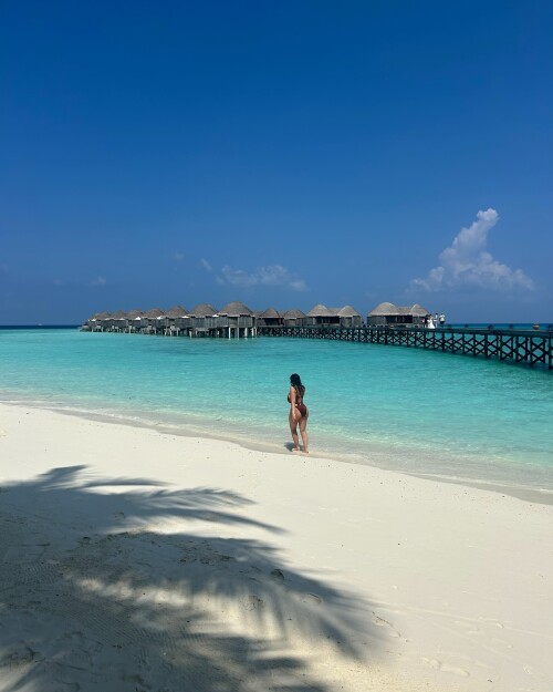 UD im notannaa 3615718463004462953 294246197 4 21 202512695fd2c0b2dbdb