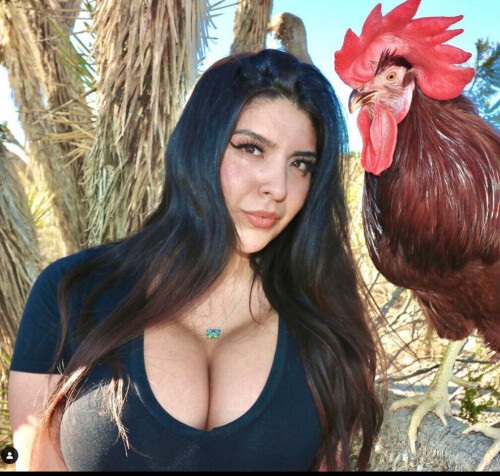 Untitled 1sdadadsd1f4373d1292af4a0