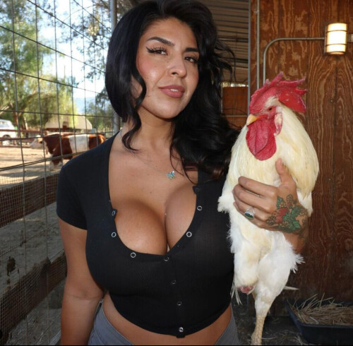 Untitled 2ajajgj8c194054d3e4e3e6