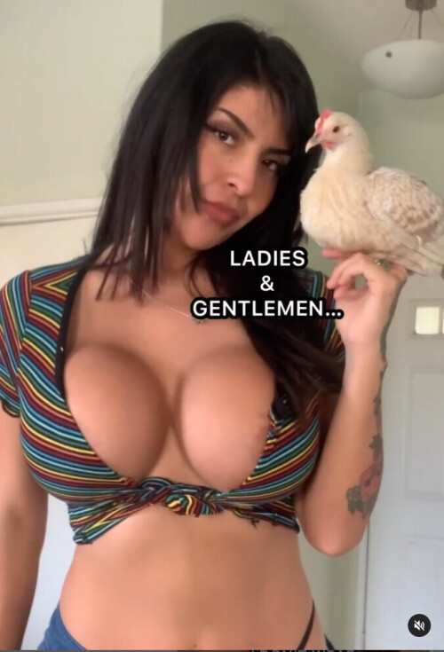 Untitled 2jsfdgjsbf6a1e32d496e667