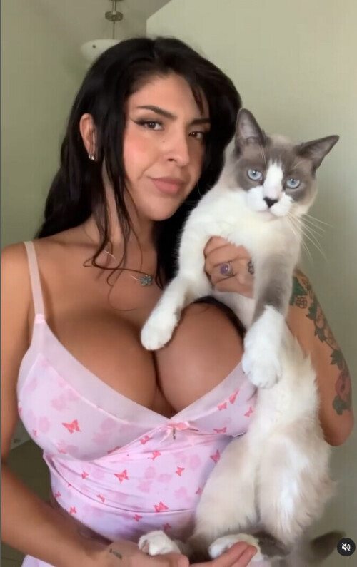 Untitled 2sazk621b2efbded4b325