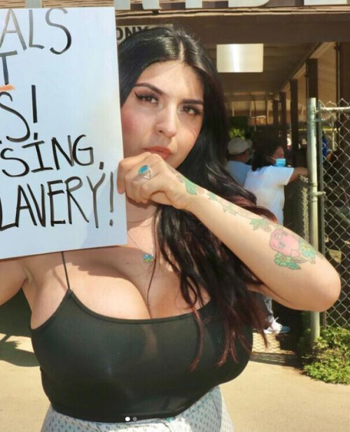 Untitled 2sffssdfsf2bdd5f5174ed9325