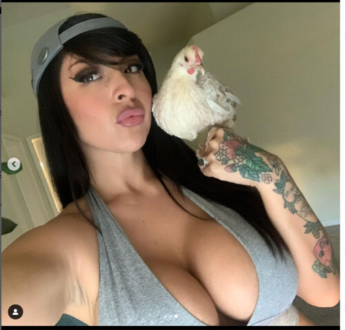 Untitled 3545494d1482ea5e2