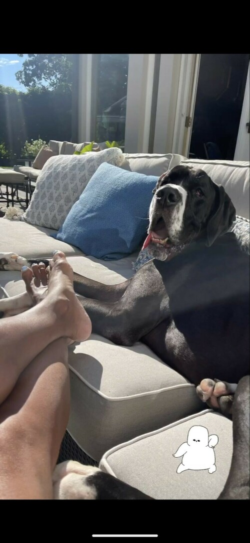 Vanessa Williams Feet 74131098fefe0ce7cda2ba3