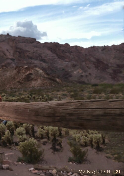 Vanquish 12 2015 International Scanof.net 021