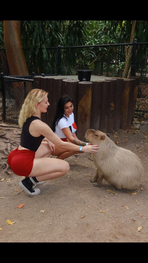 Vera Dijkmans 31523f51c31b6e7139