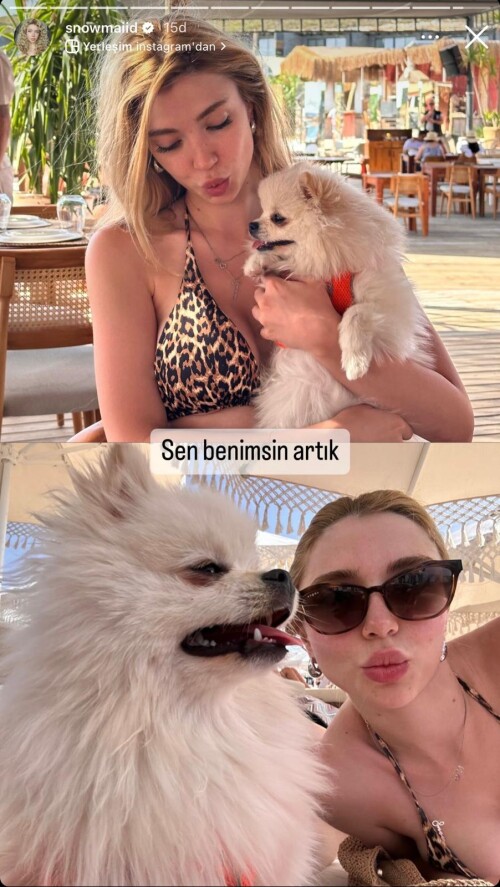 WhatsApp Image 2024 06 29 at 13.24.082475d1fb2f03d284