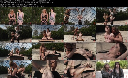 WhippedAss.25.06.25.Ariel.X.And.Brooke.Johnson.XXX.1080p304d1d1c20bf8019