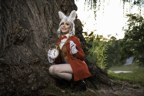 White Rabbit 16