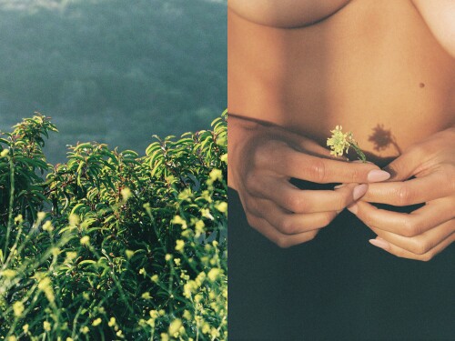 YTD Volume 3 Part 1 27