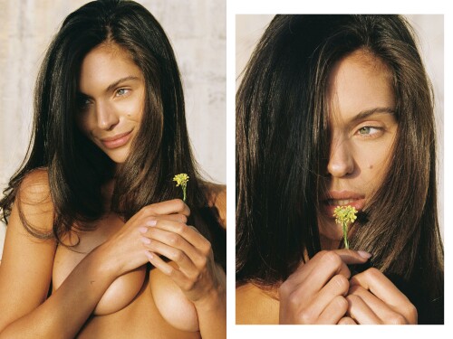 YTD Volume 3 Part 1 29