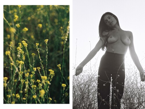 YTD Volume 3 Part 1 31