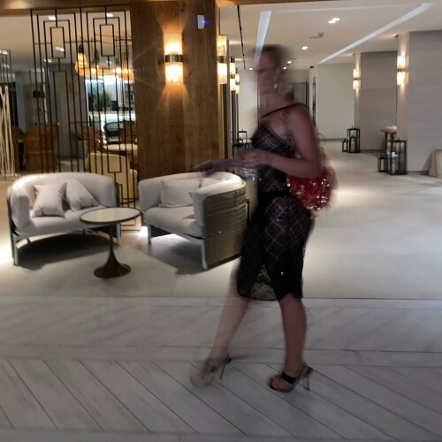 ZL32 n4208bc1448f4860f