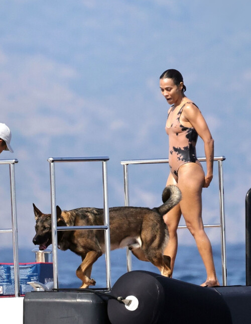 ZS 221e352819e29366fda