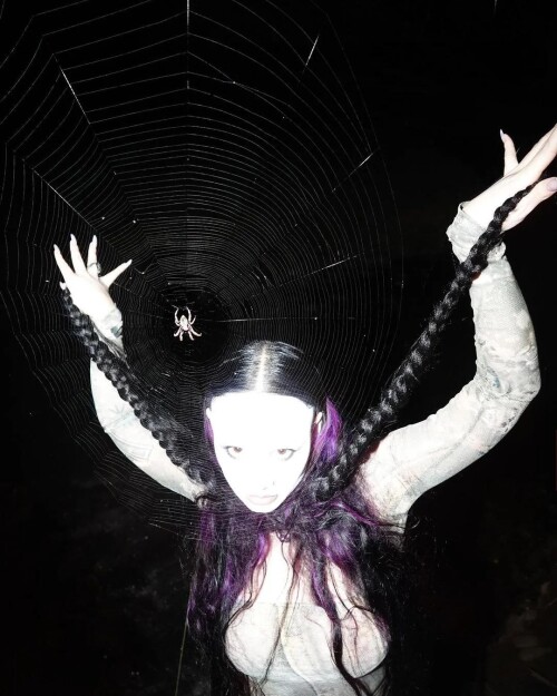 ZS On Fire 3e05a8e6888243bb3