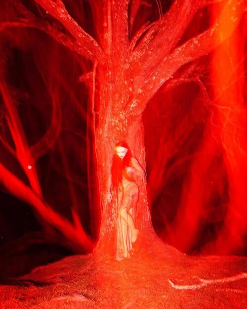 ZS On Fire 72d29a0fc528a5722