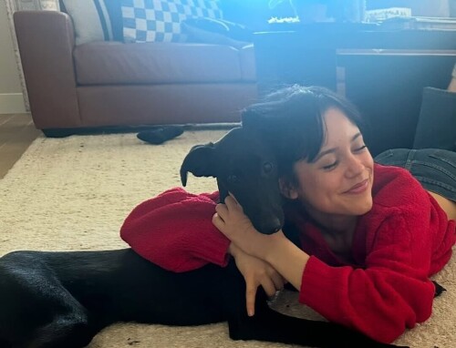 Znuk0o354acb7bfd95696e