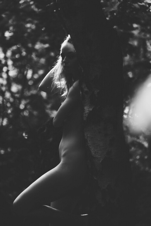  DSC4608fa8bd2cf22f9539c