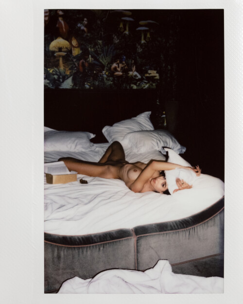  MWP4438aa0249c4f71a1a6bb1