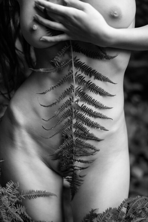  X5A2259 bw7f5e7c612b1d7617
