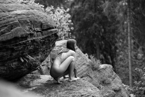  X5A2373 bwdba3e72bf7129f24